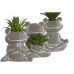 Planta Decorativa Home ESPRIT Polietileno Cimento Rã 7,5 x 5 x 11 cm (3 Unidades)