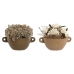 Plantă decorativă Home ESPRIT Floare 22 x 22 x 14 cm (2 Unități)