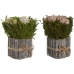 Decoratieve plant Home ESPRIT Bloem 18 x 18 x 24 cm (2 Stuks)