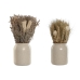 Decoratieve plant Home ESPRIT Bloem 13 x 13 x 25 cm (2 Stuks) (12 Stuks)