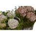 Decoratieve plant Home ESPRIT Bloem 18 x 18 x 24 cm (2 Stuks)