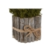 Decoratieve plant Home ESPRIT Bloem 18 x 18 x 24 cm (2 Stuks)