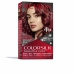 Permanent Farve Revlon Colorsilk Nº 66 Cherry red Uden ammoniak