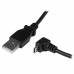 Câble USB vers micro USB Startech USBAUB2MD Noir