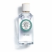 Unisex-Parfüm Roger & Gallet Vétyver EDP 100 ml