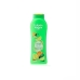 Duschtvål Tulipán Negro Citrus Green 650 ml