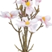 buket Zelena Roza 37 x 20 x 41 cm Magnolia