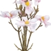 Lillekimp Roheline Roosa 37 x 20 x 41 cm Magnolia