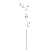 Zweig Beige Blume 27 x 27 x 170 cm