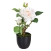 Decoratieve plant Polyester Polyethyleen Ijzer Roze 16 x 16 x 31 cm