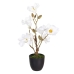 Decoratieve plant Polyester Polyethyleen Ijzer 25 x 25 x 49 cm Magnolia