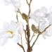 Okrasná rastlina Polyester Polyetylén Železo 25 x 25 x 49 cm Magnolia