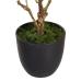 Decoratieve plant Polyester Polyethyleen Ijzer 25 x 25 x 49 cm Magnolia