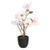 Decoratieve plant Polyester Polyethyleen Ijzer 25 x 25 x 49 cm Magnolia