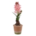 Decoratieve plant Polyester Polyethyleen Ijzer Melamine 9,5 x 9,5 x 29 cm