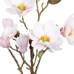 Decoratieve plant Polyester Polyethyleen Ijzer 25 x 25 x 49 cm Magnolia