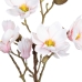 Dekorativ Plante Polyester Polyetylen Jern 25 x 25 x 49 cm Magnolia