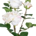 Декоративное растение полиэстер полиэтилен Железо Розовый 27 x 27 x 38 cm