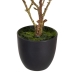 Decoratieve plant Polyester Polyethyleen Ijzer 25 x 25 x 49 cm Magnolia