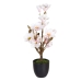 Decoratieve plant Polyester Polyethyleen Ijzer 30 x 30 x 60 cm Magnolia