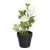 Decoratieve plant Polyester Polyethyleen Ijzer Bloem 12,5 x 12,5 x 37 cm