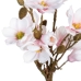 Декоративно Растение полиестер полиетилен Желязо 30 x 30 x 60 cm Magnolia
