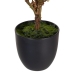 Decoratieve plant Polyester Polyethyleen Ijzer 30 x 30 x 60 cm Magnolia