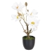 Dekorativ plante Polyester Polyetylen Jern 22 x 22 x 38 cm Magnolia