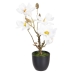 Dekorativ växt Polyester Polyetylen Järn 22 x 22 x 38 cm Magnolia