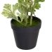 Decoratieve plant Polyester Polyethyleen Ijzer Bloem 12,5 x 12,5 x 37 cm