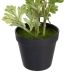 Dekorativ plante Polyester Polyetylen Jern Blomst 12,5 x 12,5 x 37 cm