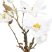 Decoratieve plant Polyester Polyethyleen Ijzer 22 x 22 x 38 cm Magnolia