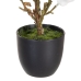 Decoratieve plant Polyester Polyethyleen Ijzer 22 x 22 x 38 cm Magnolia