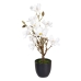 Decoratieve plant Polyester Polyethyleen Ijzer 30 x 30 x 60 cm Magnolia