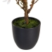 Decoratieve plant Polyester Polyethyleen Ijzer 30 x 30 x 60 cm Magnolia