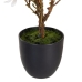 Dekorationspflanze Polyester Polyäthylen Eisen 30 x 30 x 60 cm Magnolia