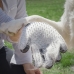 Handske för att Borsta och Massera Husdjur från Relpet InnovaGoods Silikon (Renoverade A)