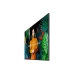 Smart TV Samsung LH43QBCEBGCXEN 4K Ultra HD 65
