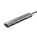 USB-разветвитель Trust 24947 Серый Черный/Серый (1 штук)