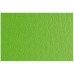 Картонная бумага Sadipal LR 200 текстурированная Светло-зеленый 50 x 70 cm (20 штук)