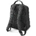 Nahrbtnik za prenosnik Dicota BACKPACK SPIN Modra