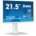 Näyttö Iiyama ProLite XUB2292HSU-W6 Full HD 22