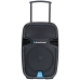 Bluetooth-динамик Blaupunkt PA12 Чёрный 650 W