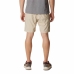 Sportsshorts Columbia Silver Ridge  Fjell