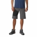 Sport Shorts Columbia Silver Ridge  Berg Dunkelgrau