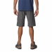 Sports Shorts Columbia Silver Ridge  Moutain Dark grey