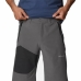 Sports Shorts Columbia Silver Ridge  Moutain Dark grey