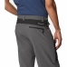 Sport Shorts Columbia Silver Ridge  Berg Dunkelgrau