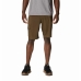 Sport Shorts Columbia Silver Ridge  Moutain