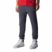 Pantalone per Adulti Champion  Cuff Legacy  Grigio Uomo